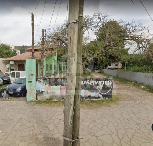 Imagem 9 de 9 de Terreno - Morro Santana - Ref: 202261 - V-202373