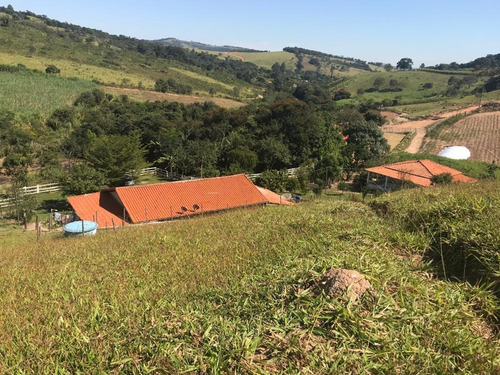 Imagem 3 de 15 de Fazenda Para Venda Em Crucilândia, Braúna, 3 Dormitórios, 1 Suíte, 1 Banheiro - F18_1-1925642
