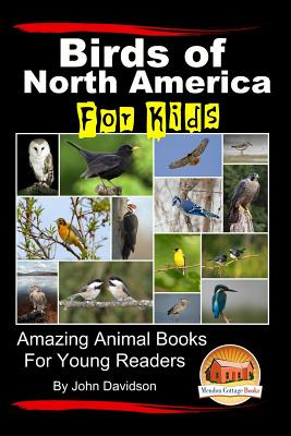 Libro Birds Of North America For Kids - Amazing Animal Bo...