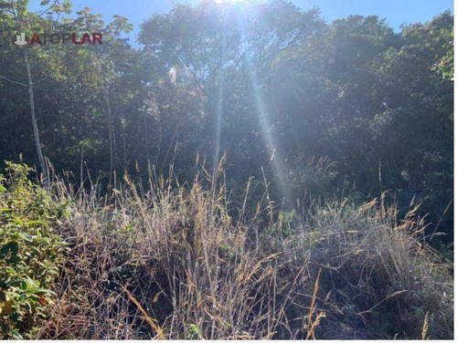 Imagem 8 de 17 de Terreno Em Área Rural À Venda, 25000 M² Por R$ 600.000 - Braço De Camboriú - Camboriú/sc - Te0126