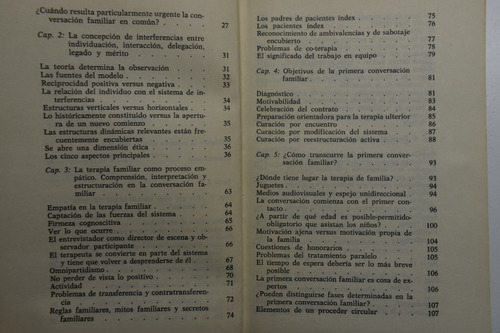 Terapia De Familia: La Primera Entrevista Helm Stierlin C199 (Usado)