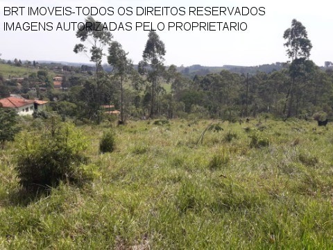 Imagem 8 de 22 de Terreno - Te00125 - 34466729