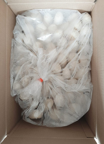 Panprecocido Congelado Mini Baguette Brier Caja 8kg Retxfabr