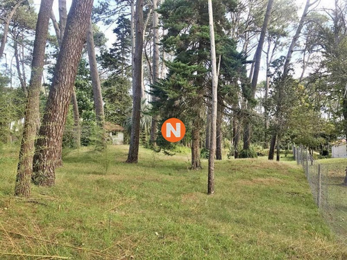 Imagen 6 de 12 de Venta De Terreno En Cantegril Punta Del Este - Punta Del Este Cantegril
