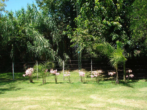 Imagen 9 de 23 de 1 Hectarea - Duggan - Con Casita - Pileta Y Arboleda