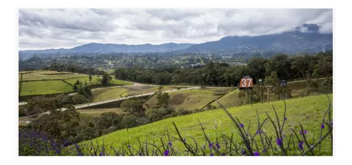 Lote En Venta En Rionegro. Cod V11136
