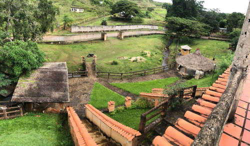 Finca Ganadera En Venta Tinaquillo S/la Pica Anny
