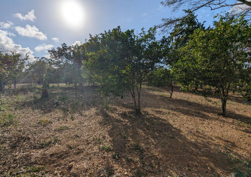 Terreno (finca) En Venta En San Francisco De Macorís