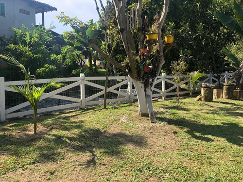 Imagem 17 de 21 de Sitio Com Casa 3 Dormitorios Em Camboriu- Estuda Permuta Em Balneário Camboriu - T211 - 69192948