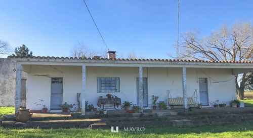 Chacra 39 Has Progreso Ideal Para Viñedos/logistico