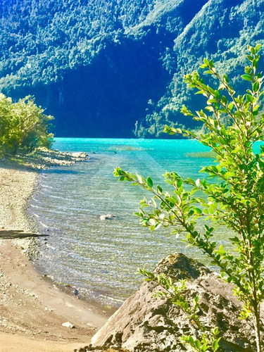 Sitio En Venta Lago Tagua Tagua - Rio Puelo Primera Línea