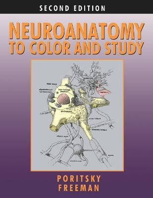 Libro Neuroanatomy To Color And Study - Ray Poritsky