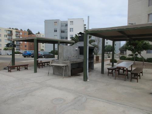 Depto. Amoblado Av. Libertad 3 Dorm Est. Gast. Com. Incluid.