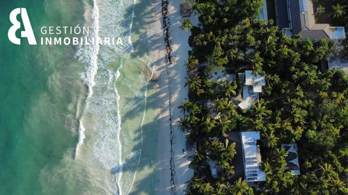 Imagen 3 de 10 de Terreno En Venta En La Reserva De Siankan Tulum. Ctv47.