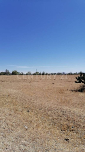 Terreno En Venta, En Poblado Palos Altos, Soyaniquilpan Jilotepec, Edo. Méx.