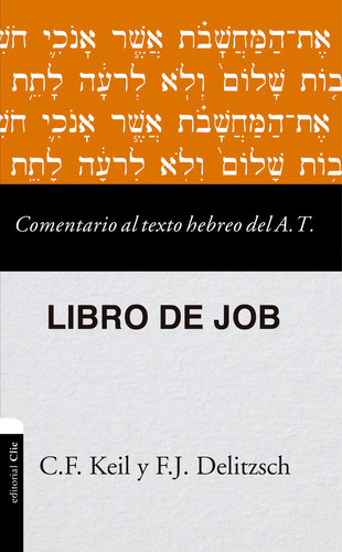 Comentario Al Texto Hebreo Del Antiguo Testamento Job - Deli