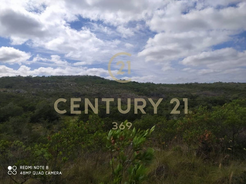 Imagen 17 de 19 de Se Vende Muy Lindo Campo Con Cañada !!