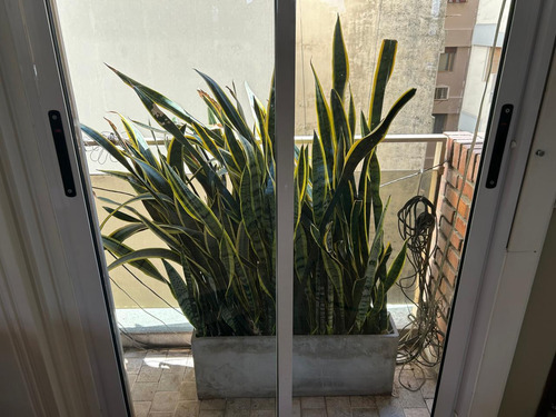 Departamento 4 Ambientes - Tronador 1400 - Belgrano R (villa Ortuzar)