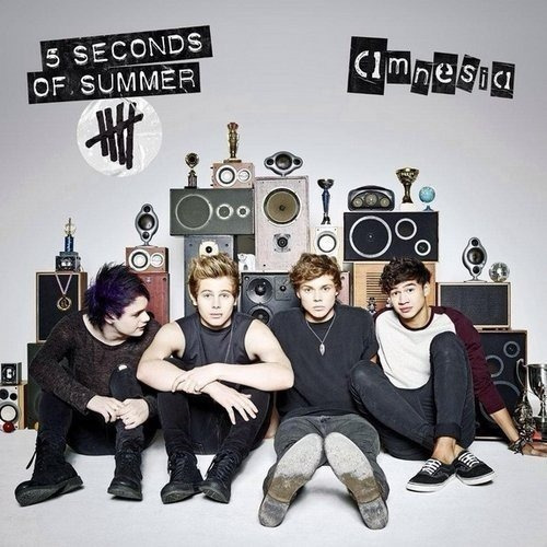 Cd 5 Seconds Of Summer Amnesia Single Rgs