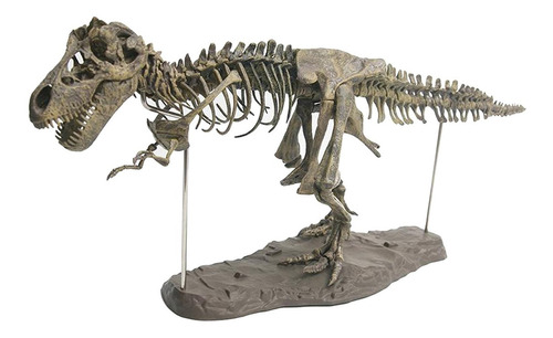 Modelo De Esqueleto De Dinosaurio: Ensamblaje Fósil De
