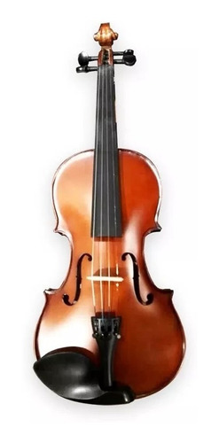 Violin Palatino Pvp02 4/4 Profesional Caja Cerrada