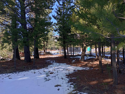 Terreno En Venta - 1.300mts2 - Villa Lago Gutiérrez, San Carlos De Bariloche