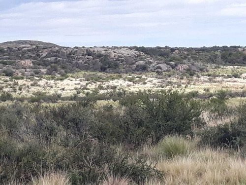 Imagen 3 de 11 de Campo De 350 Has.en San Luis , (gran Oportunidad) Dño Direct
