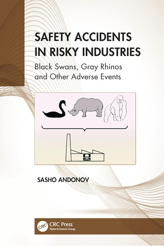 Libro:  Safety Accidents In Risky Industries