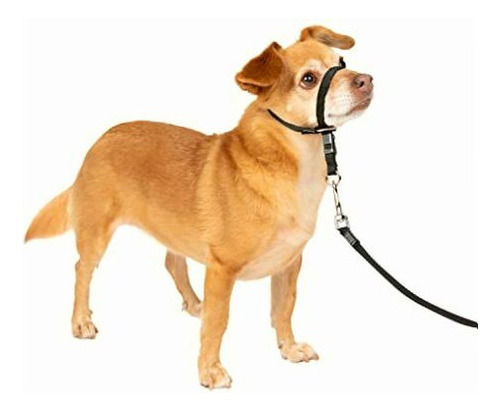 Petsafe Gentle Leader Collar Para Perro Sin Tirones, Negro