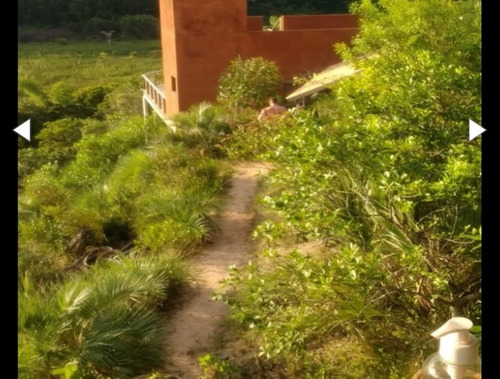 Imagem 6 de 7 de Terreno Praia Do Rosa