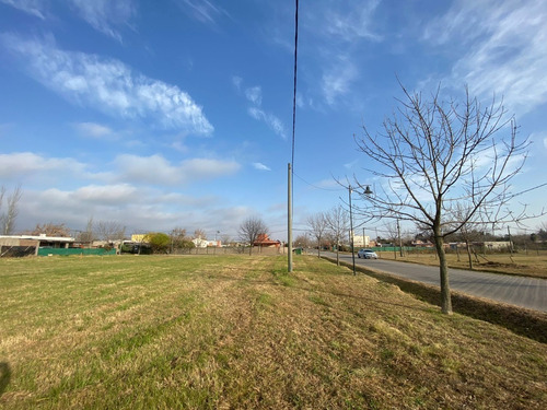 Imagen 1 de 9 de Venta. Terreno. Roldan. Barrio Las Tardes. Pavimento -luz, Gas Y Agua Corriente. Mejor Precio!!!