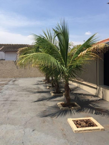 Casa Com 3 Dormitórios À Venda, 230 M² Por R$ 490.000,00 - Jardim Nazareth - São José Do Rio Preto/sp - Ca1962