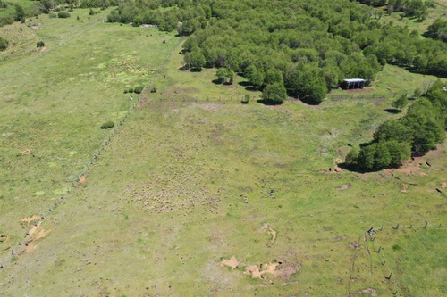 Terreno 5.000 M2 A Pocos Metros Pueblo Malalcahuello