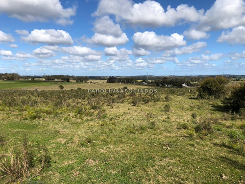 Campo En Venta Excelente Lugar- Ref: 3643