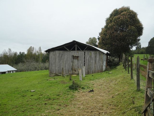 Agrícola En Venta En Paillaco