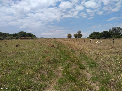 Imagem 15 de 19 de Chácara Em Centro, Formosa/go De 60000m² 1 Quartos À Venda Por R$ 700.000,00 - Ch1385034-s