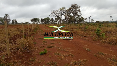 Chácara Em Uberlândia Escritura Individual 20.000 M² Apenas 20 Km Da Cidade - 399