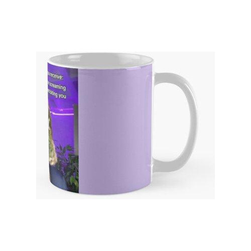 Taza Comercio Birb Calidad Premium