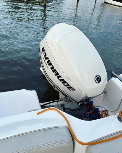 Quicksilver 1700