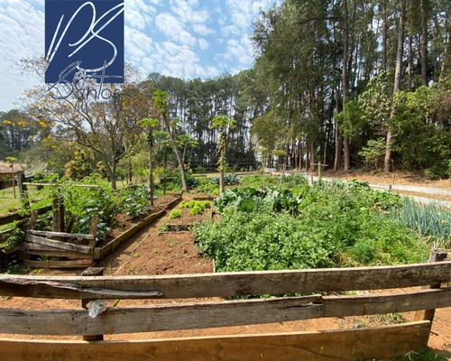 Imagem 15 de 17 de Fazenda - Fa00010 - 69958327