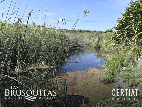 Imagen 5 de 11 de Venta De Lote Las Brusquitas Country De Playa