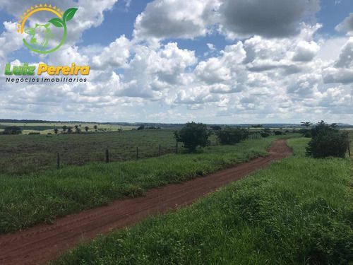 Imagem 6 de 12 de Fazenda À Venda Em Conceição Do Araguaia -pa-4.854.52 Hec. (d. Aptidão) - 2091