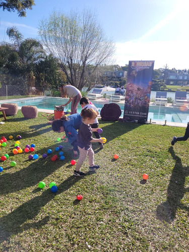 Animaciones Infantiles A Domicilio- Egresaditos-family Day