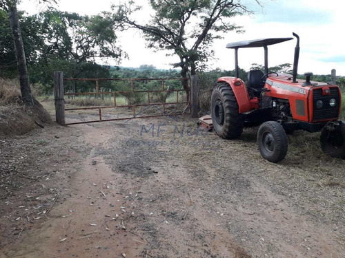 Imagem 2 de 30 de Chácara, Campo Alto, Pirassununga - R$ 180 Mil, Cod: 10131719 - V10131719
