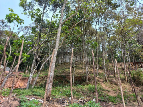 Imagem 10 de 12 de Terreno Mairiporã 800 Metros