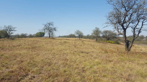 Imagen 4 de 5 de Terreno Venta Villa Allende Golf
