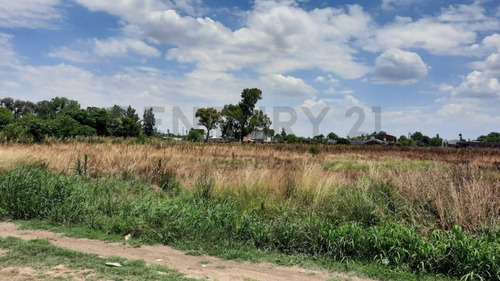 Imagen 1 de 4 de Terreno De 5048 Metros En Longchamps