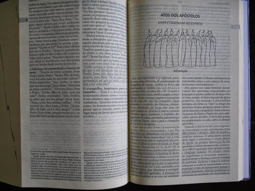 Bíblia Sagrada Católica Nova Pastoral Edição Especial Completa Capa Cristal Tamanho Médio