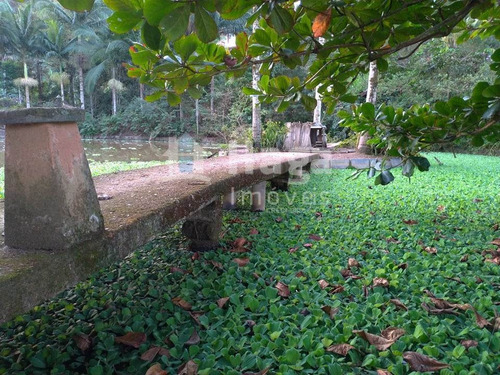 Imagem 28 de 30 de Chácara À Venda Em Guabiruba/sc - 1144c