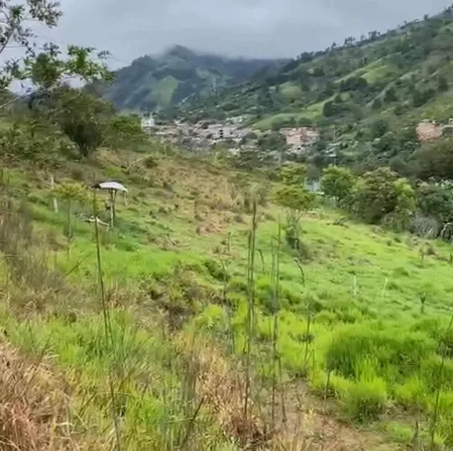 Lote En Excelente Ubicación